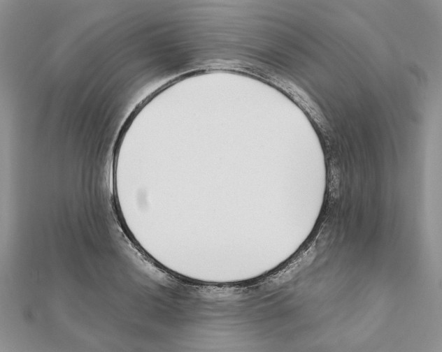X0000111631036200908281130