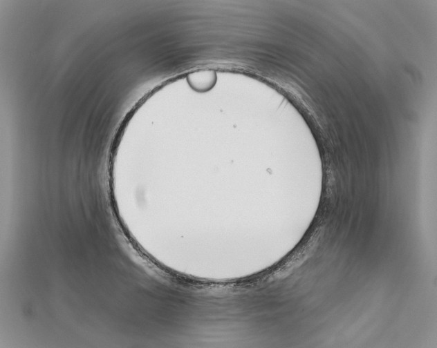 X0000111631038200908281130