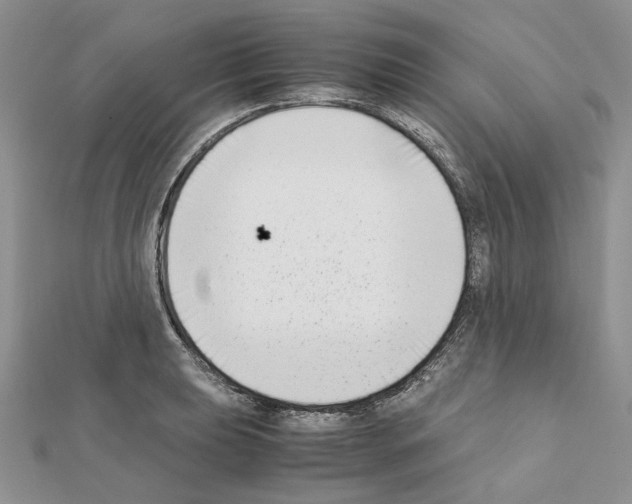 X0000111631039200908281130