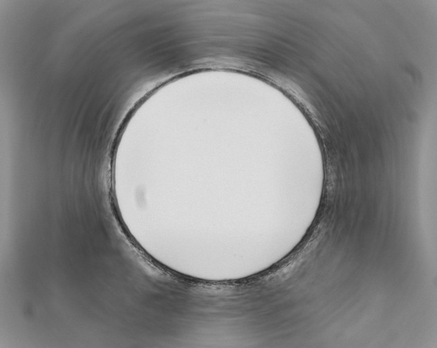X0000111631040200908281130