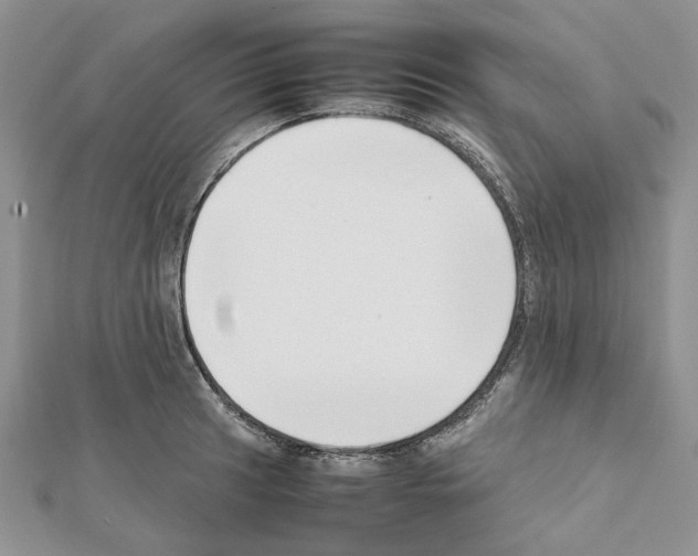 X0000111631041200908281130