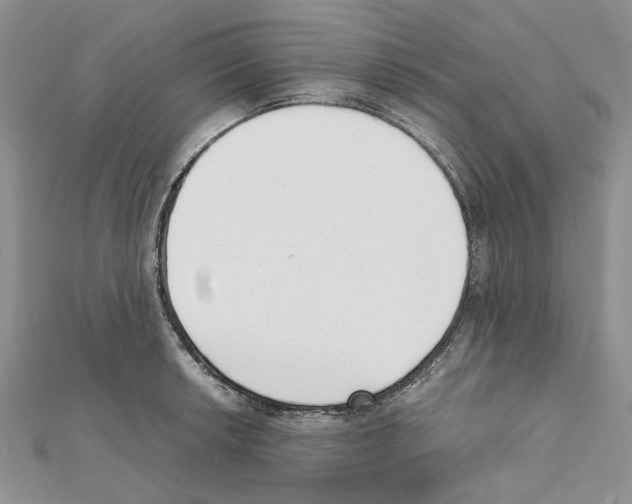 X0000111631042200908281130