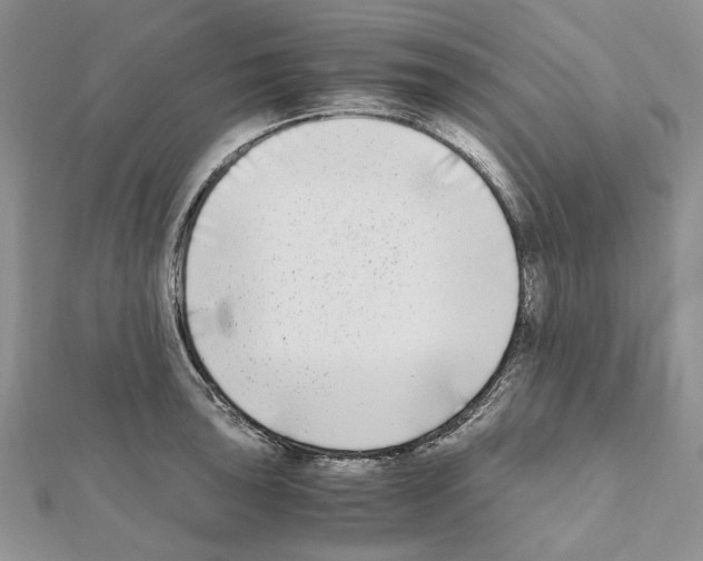 X0000111631043200908281130