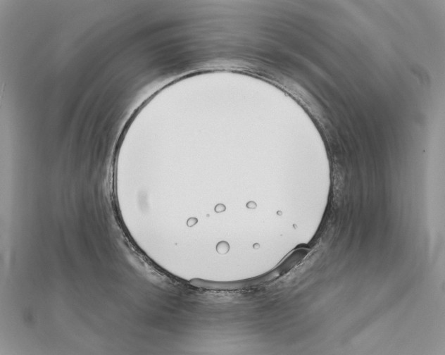 X0000111631044200908281130