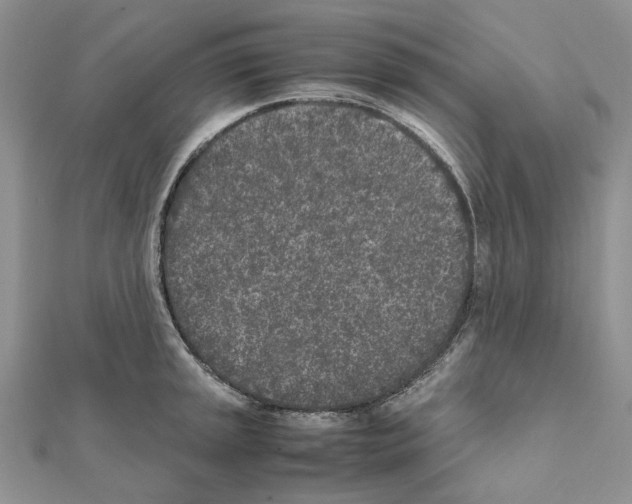 X0000111631045200908281130