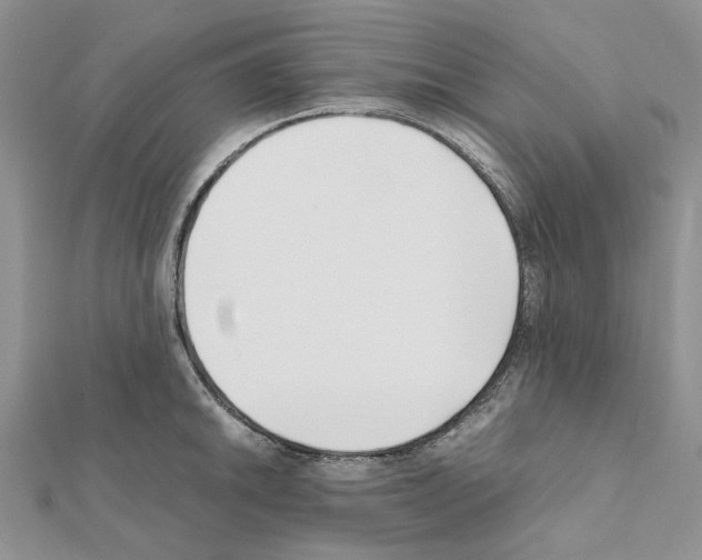 X0000111631046200908281130