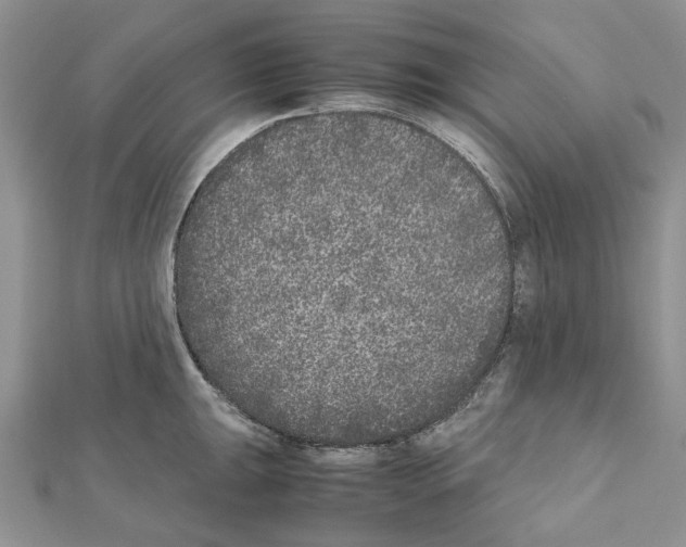 X0000111631047200908281130