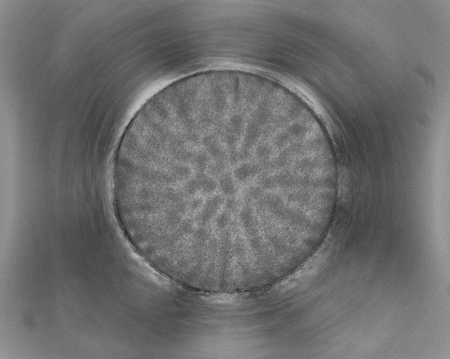 X0000111631048200908281130