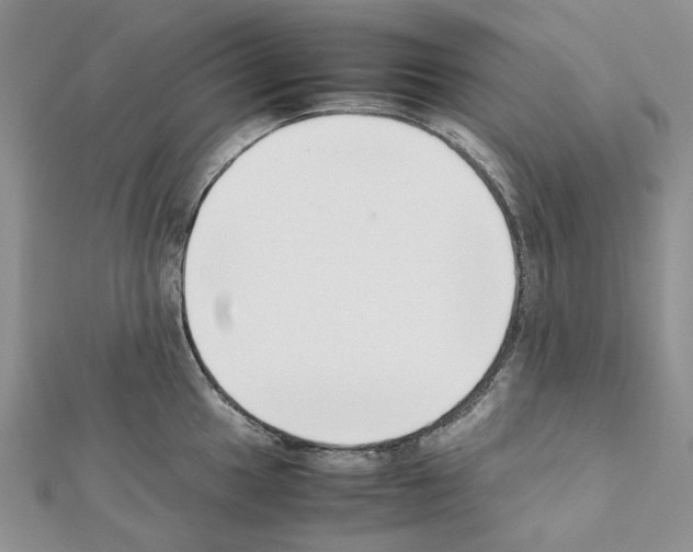 X0000111631049200908281130