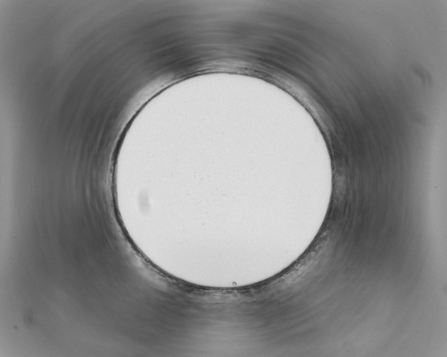 X0000111631050200908281130