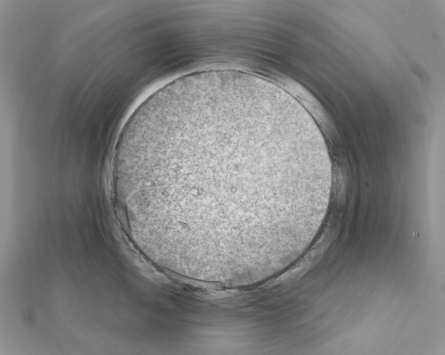X0000111631052200908281130