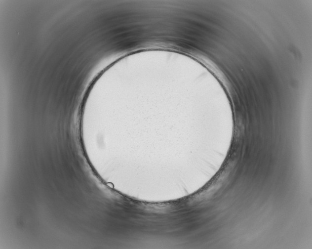 X0000111631053200908281130