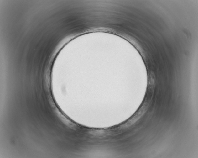 X0000111631054200908281130
