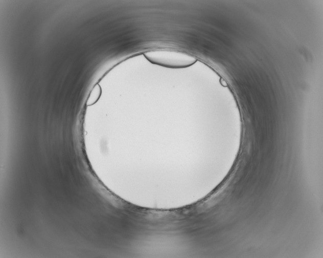 X0000111631056200908281130