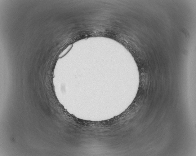 X0000111631057200908281129