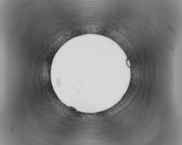 X0000111631058200908281129