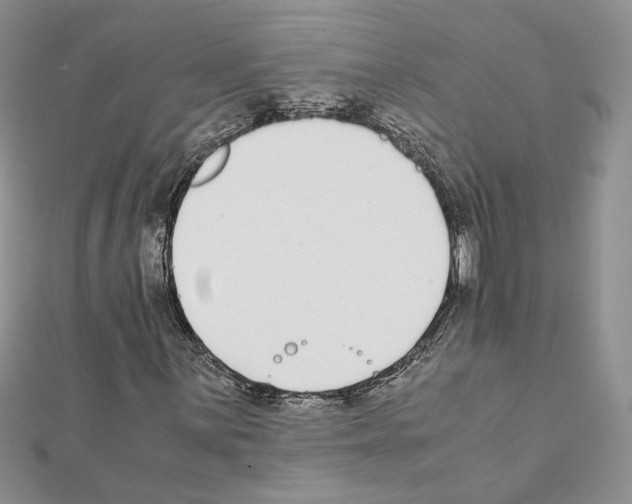 X0000111631059200908281129