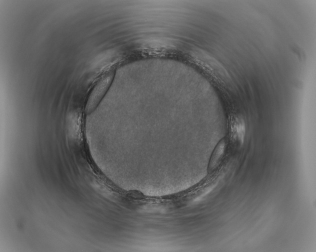 X0000111631060200908281129