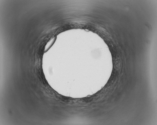 X0000111631061200908281129