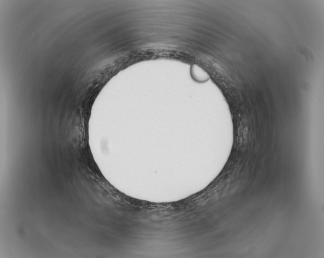 X0000111631062200908281129