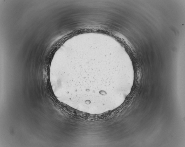 X0000111631064200908281129