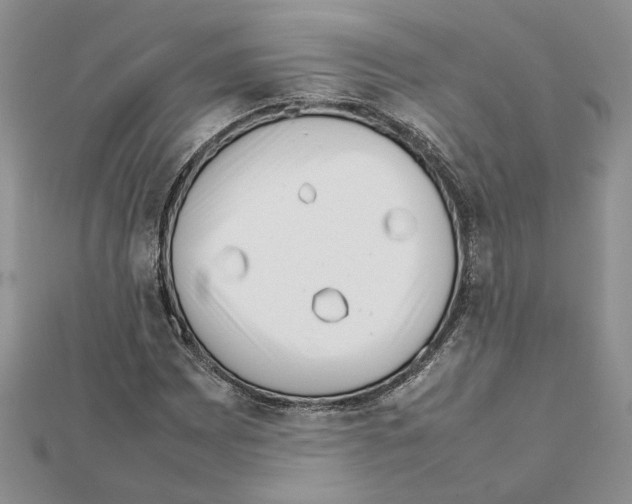 X0000111631065200908281129