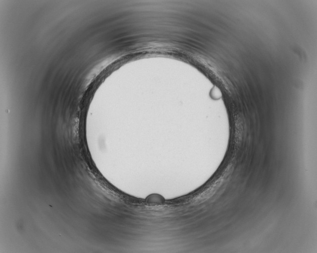 X0000111631066200908281129