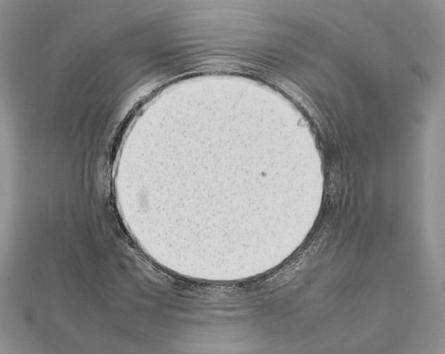 X0000111631067200908281129