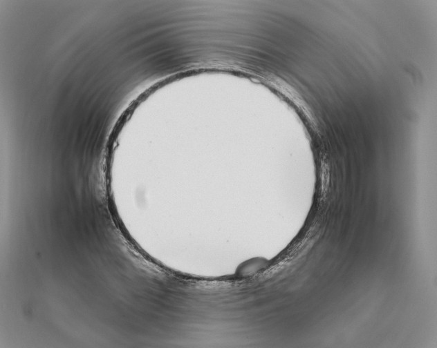 X0000111631068200908281129