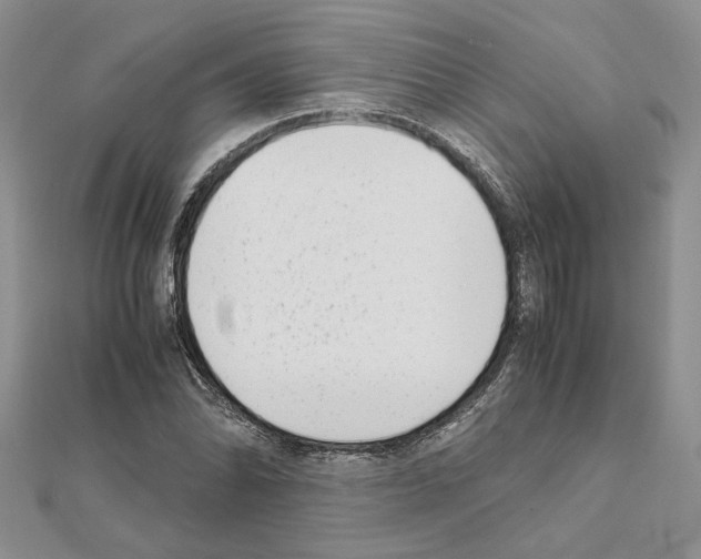 X0000111631070200908281129