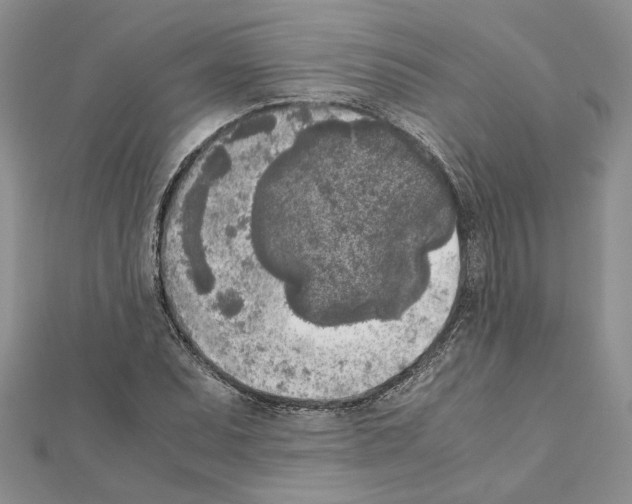 X0000111631071200908281129