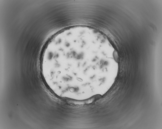 X0000111631072200908281129