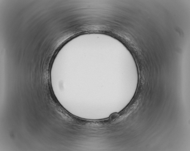 X0000111631073200908281129