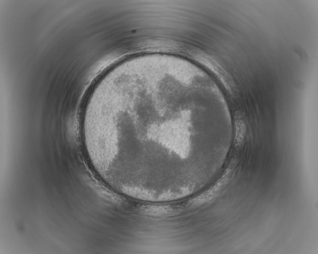X0000111631074200908281129