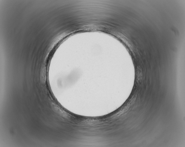 X0000111631075200908281129