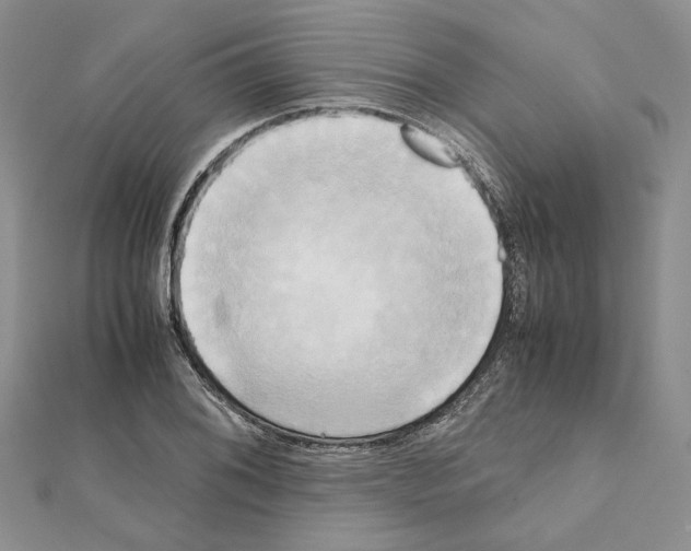 X0000111631076200908281129