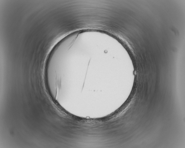 X0000111631077200908281129