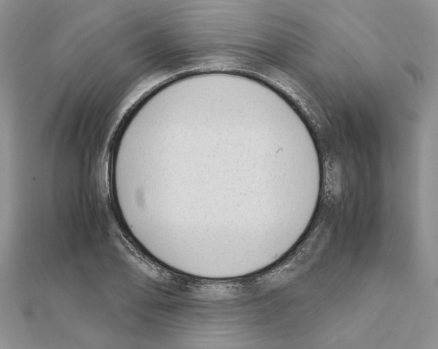X0000111631078200908281129
