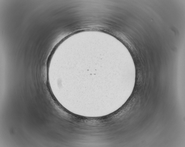 X0000111631079200908281129