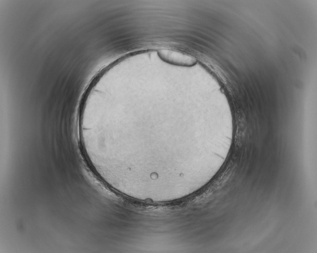 X0000111631080200908281129