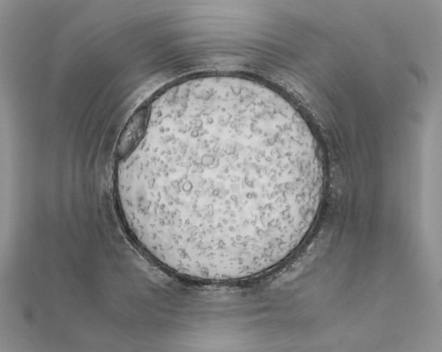 X0000111631081200908281129