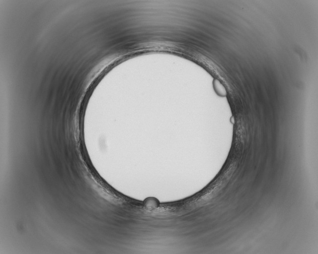 X0000111631082200908281129