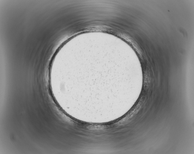 X0000111631083200908281129
