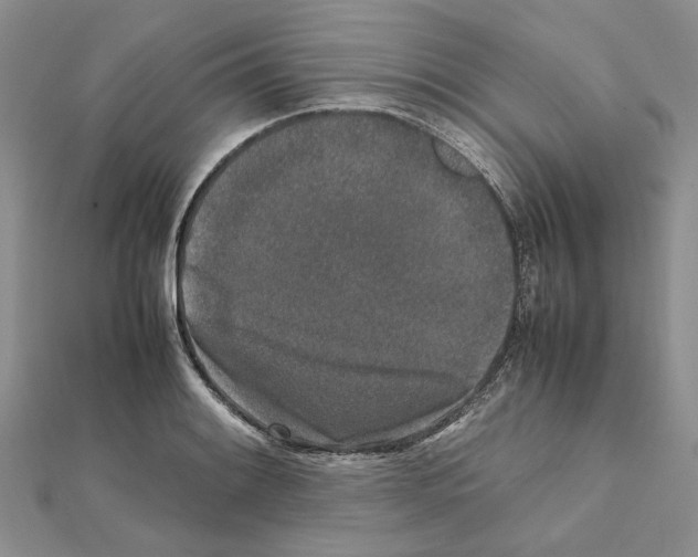 X0000111631084200908281129