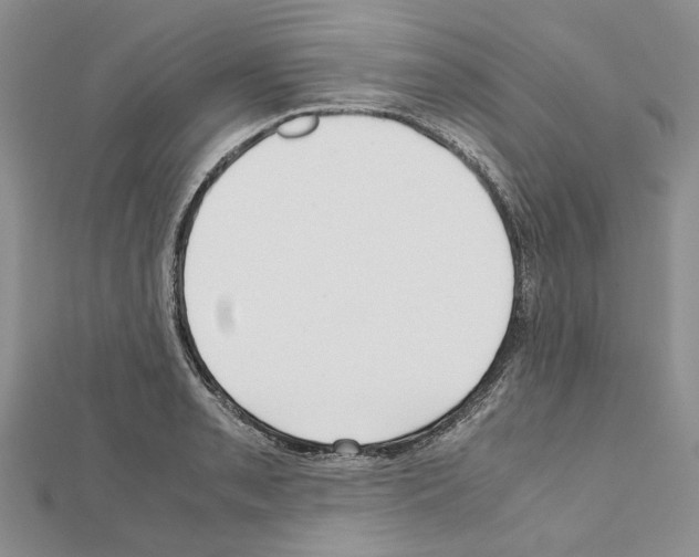 X0000111631085200908281129