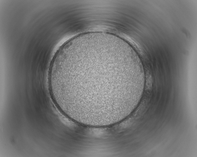 X0000111631086200908281129
