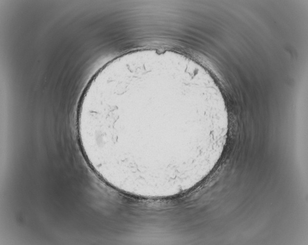 X0000111631087200908281129