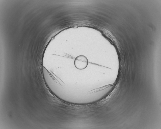 X0000111631089200908281129