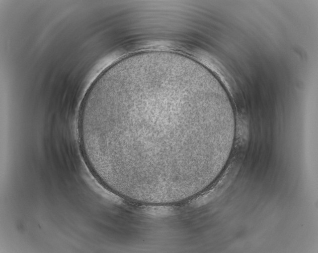 X0000111631090200908281129