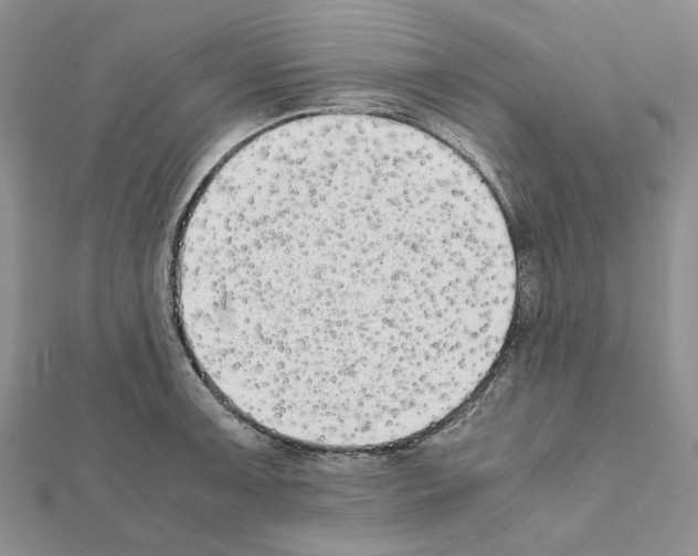 X0000111631091200908281129
